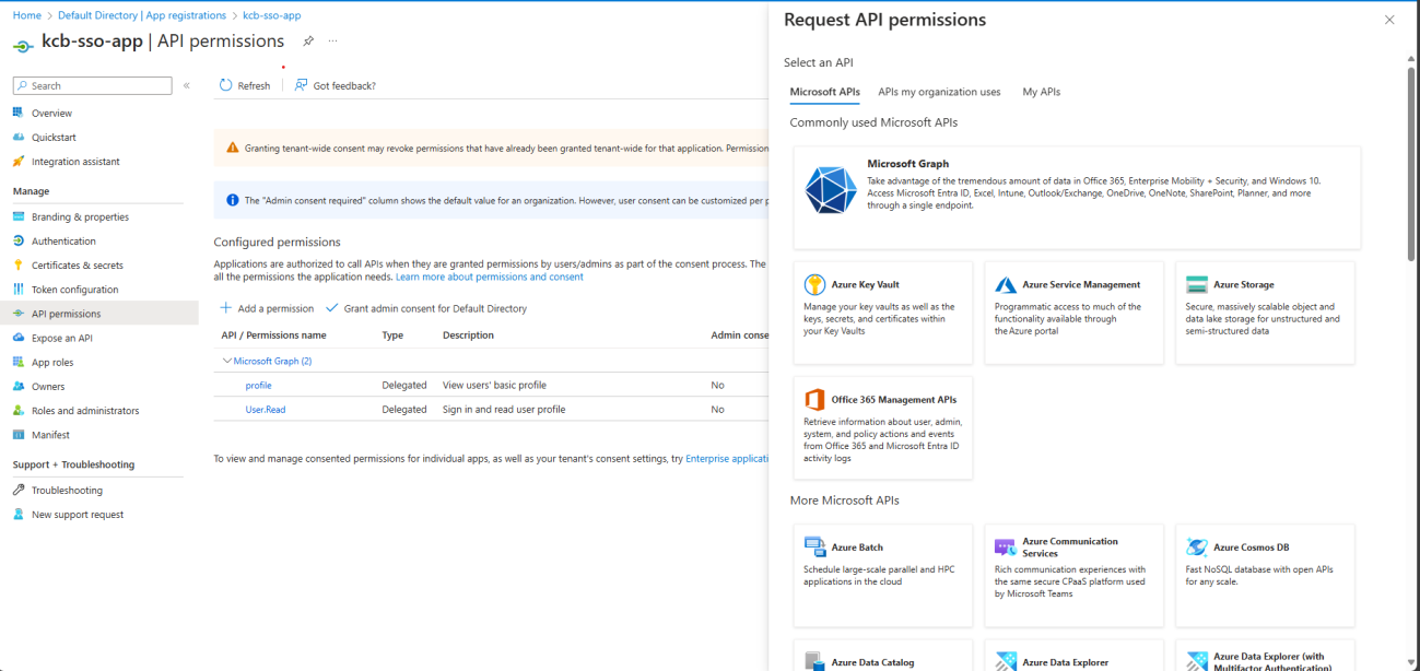 Request API permissions